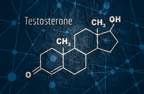 Chemische Formel von Testosteron