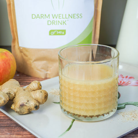 Darm-Wellness-Drink von VitaMoment