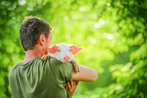 Mann hält ein Schwein auf dem Arm