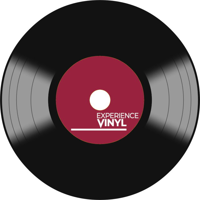 - MULTITUDES Vinyl LP – Experience Vinyl