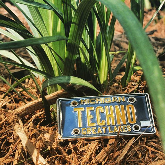 Michigan Techno License Plate Pin