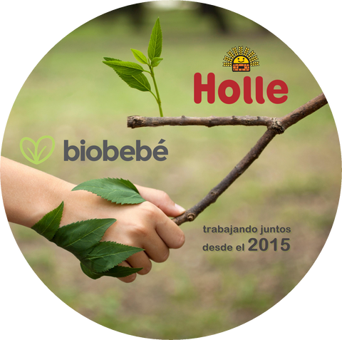 Alianza Holle Biobebé desde el 2015