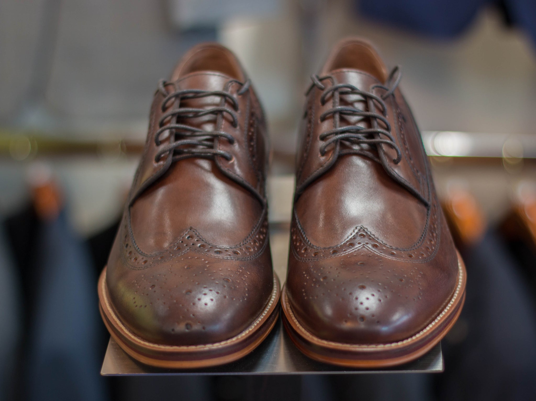 Brown Wingtip Shoe – Bertalia