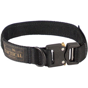 metal buckle dog collar