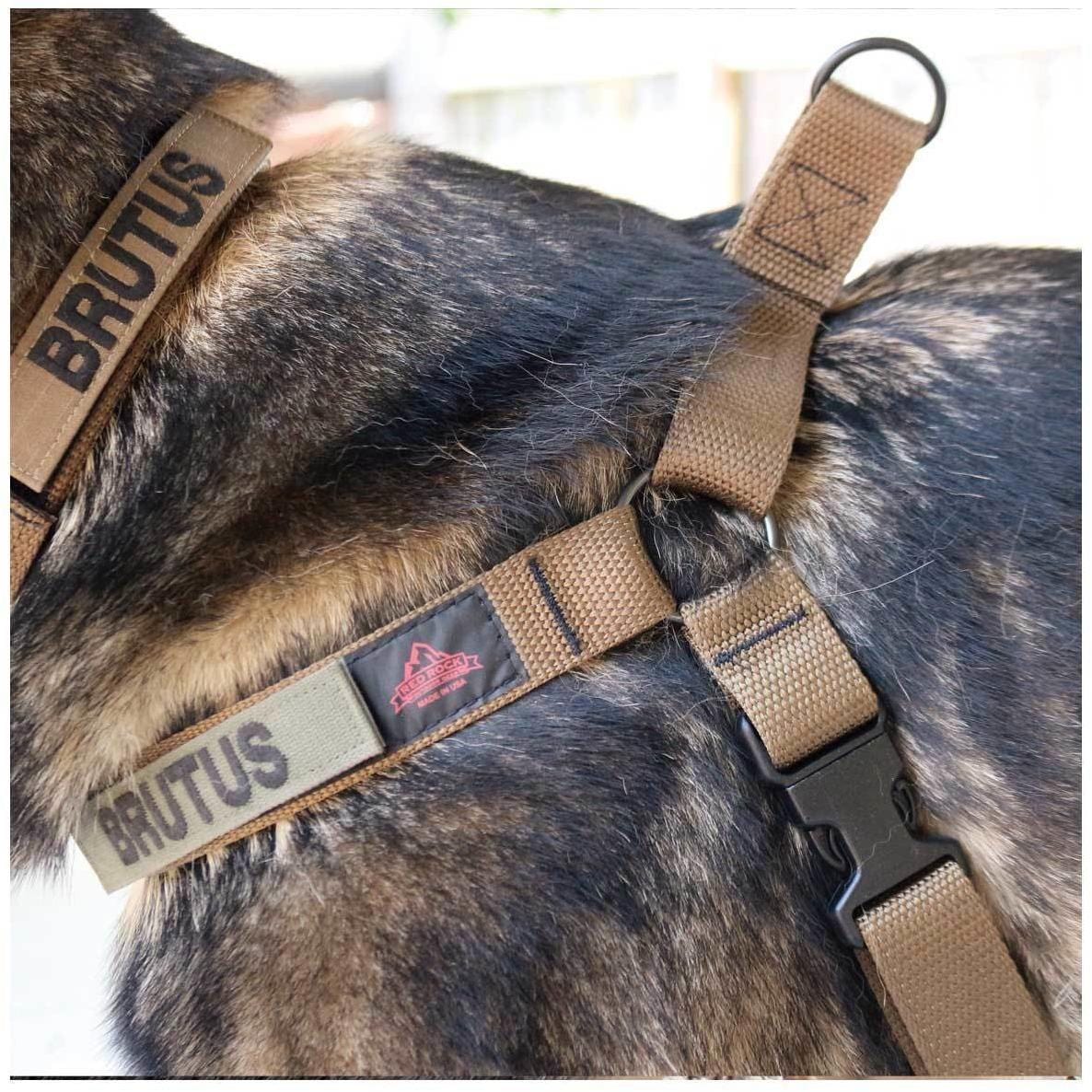 United States Tactical Dog Harness Tactical Gear Junkie   9f6ee436563b7a60e62e263f5e409f69 1024x1024@2x 