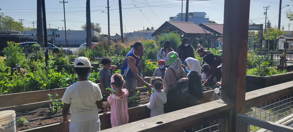 Growing your own food in a city.