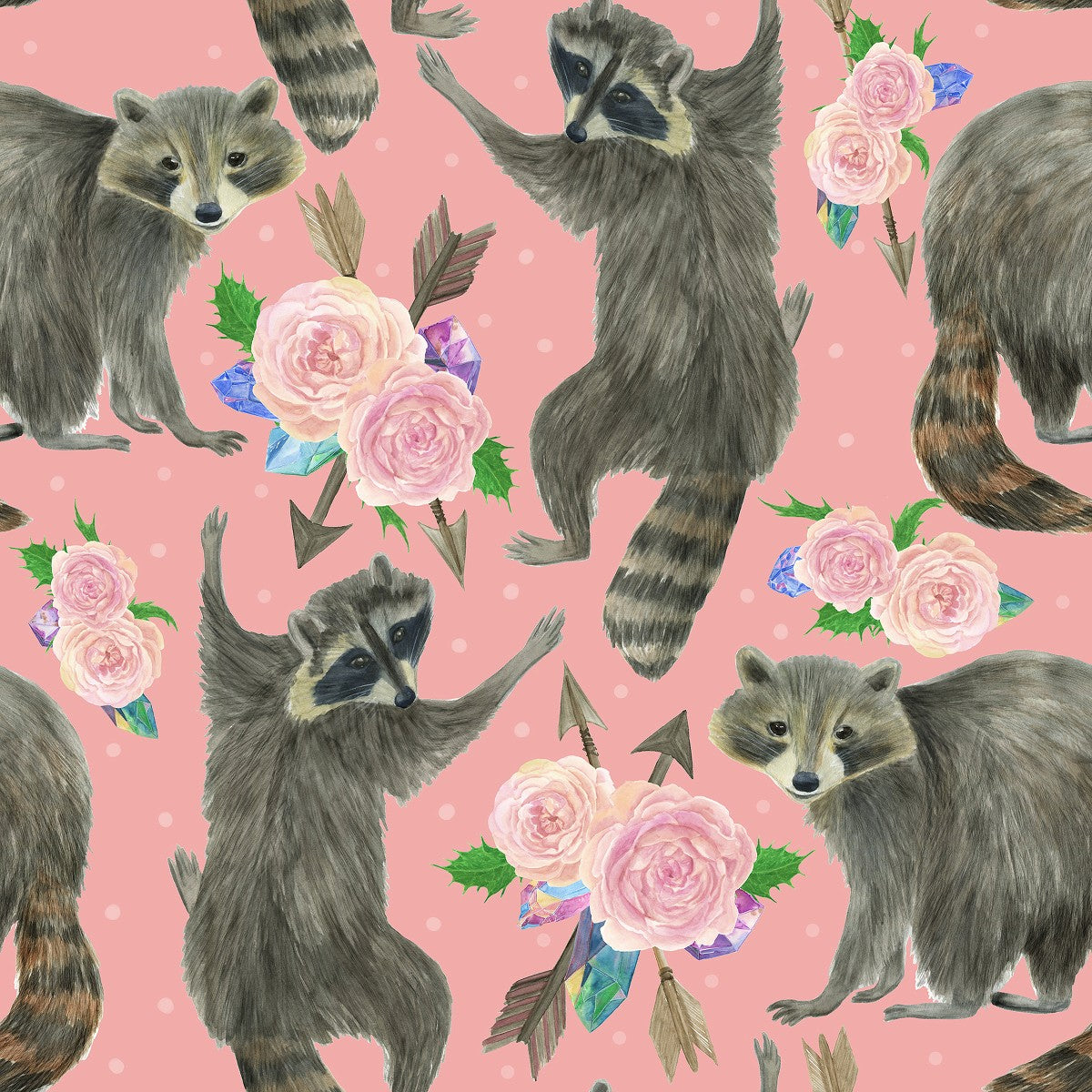 Download Raccoon wallpapers for mobile phone free Raccoon HD pictures