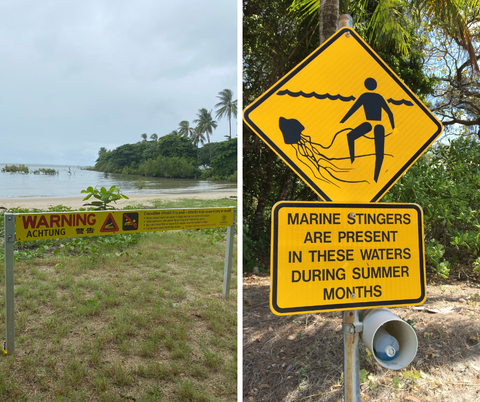Danger crocodiles and stinger in water do not swim