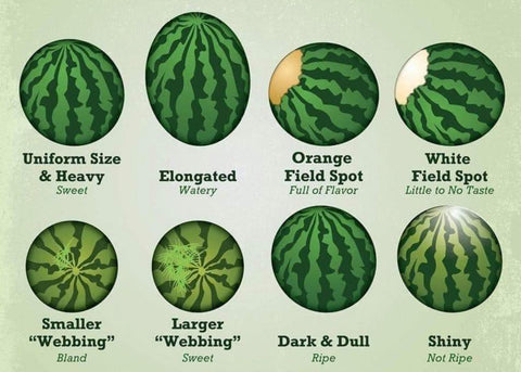 Pick the perfect watermelon every time with this chart 