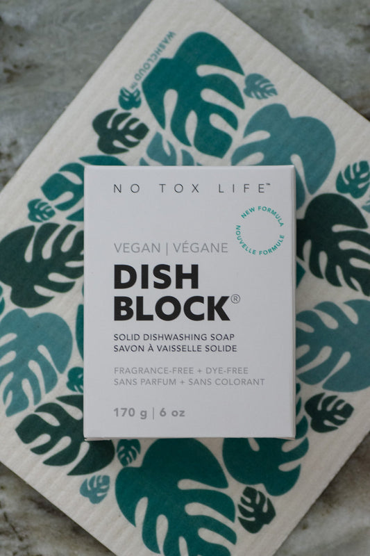 CASA AGAVE® Dish Brush – NO TOX LIFE