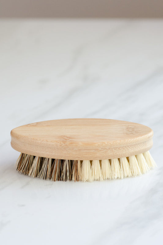 CASA AGAVE® Long Handle Dish Brush with Replaceable Head