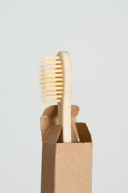 CASA AGAVE® Duo Tone Vegetable Brush | General Cleaning