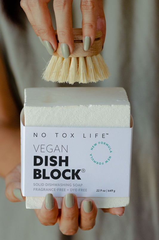 No Tox Life Tampico Dish Brush