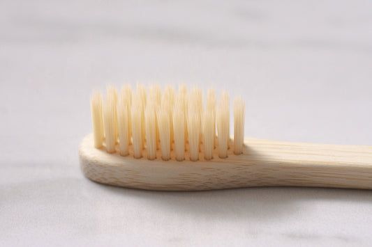 CASA AGAVE® Duo Tone Vegetable Brush