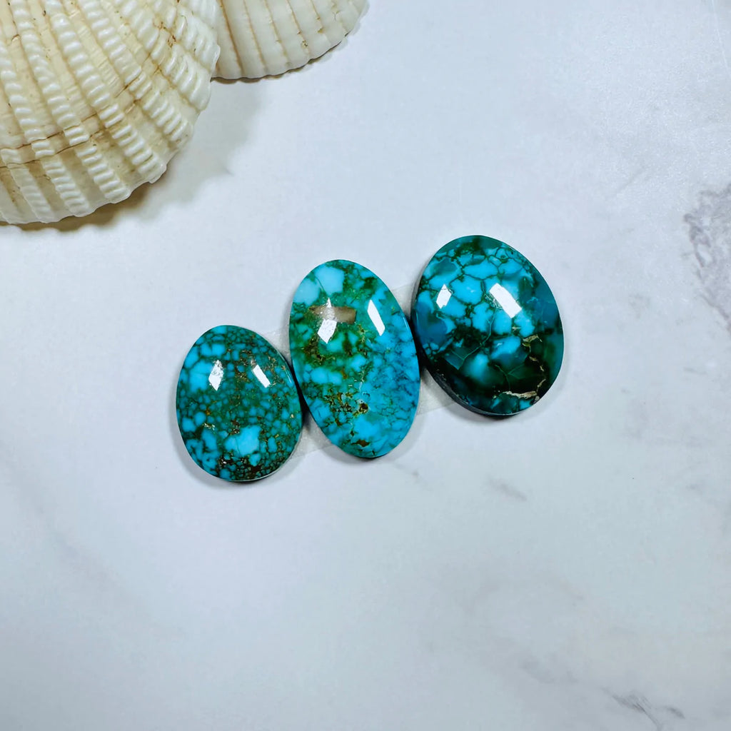 Kingman turquoise cabs