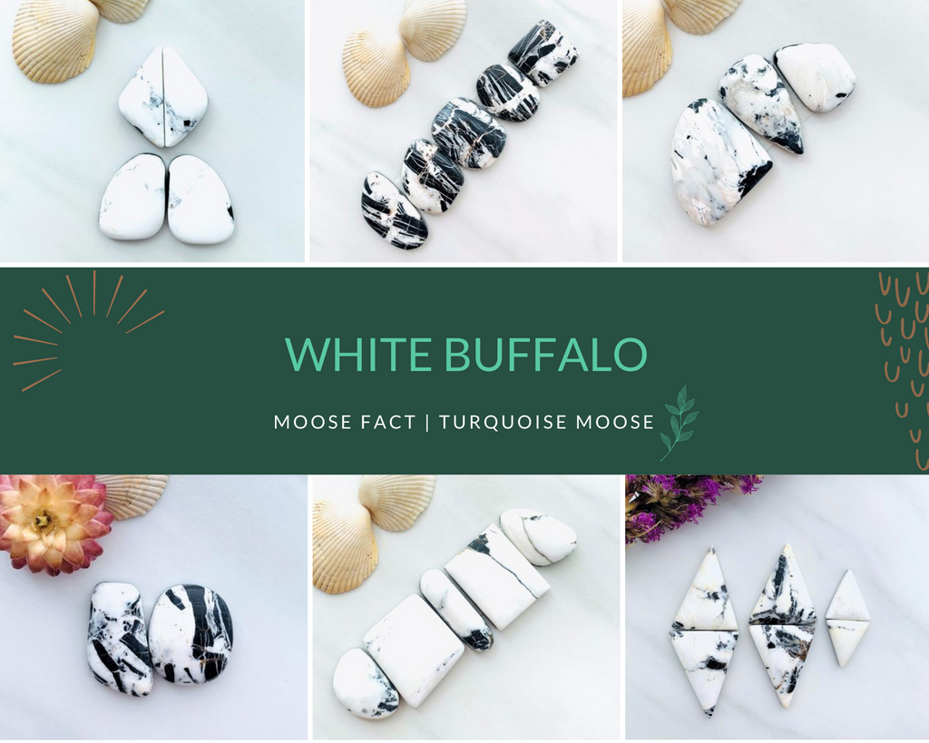 Genuine White Buffalo Cabochons for Sale