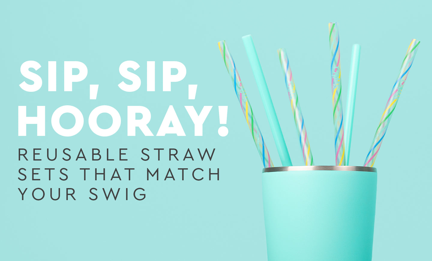 Swig Clear/Aqua Reusable Straw Set