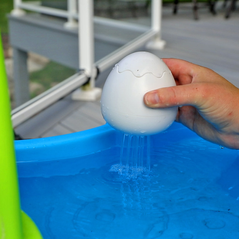 water hatching egg toy