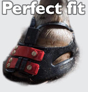 MS Perfect fit a894e5d6 2ba5 482e 8230 dc7e0e1a814d