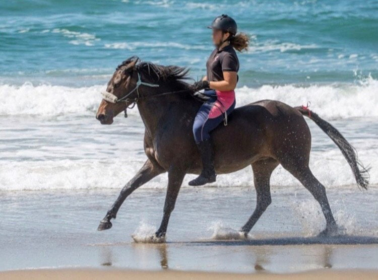 Utilisez des Scoot Boots pour éviter que votre cheval n'ait mal aux pieds