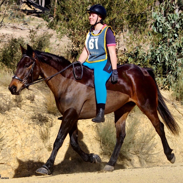 Use Scoot Boots to prevent your horse from becoming footsore