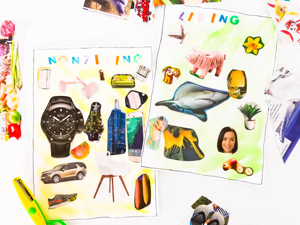 "What are living things" activity - Happy Active Kids Australia