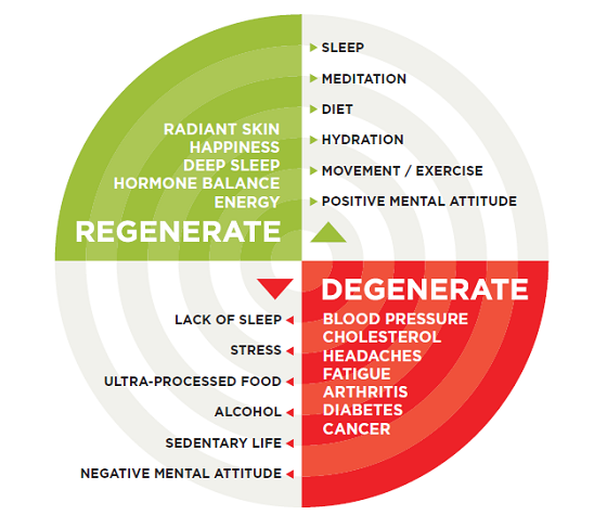 regenerate and degenerate