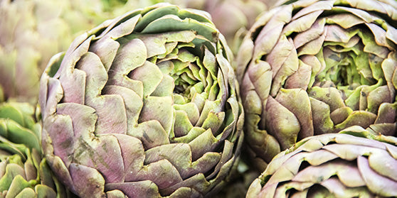 Globe Artichoke