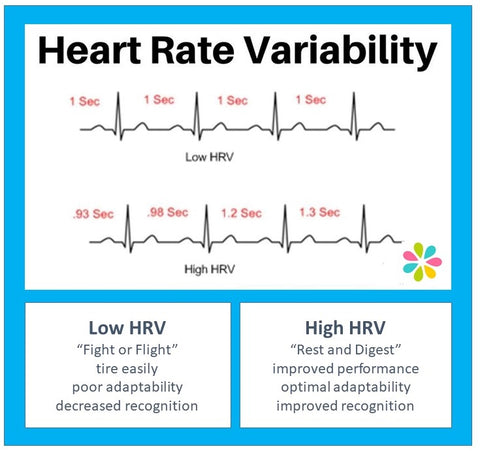 heart rate variability chart