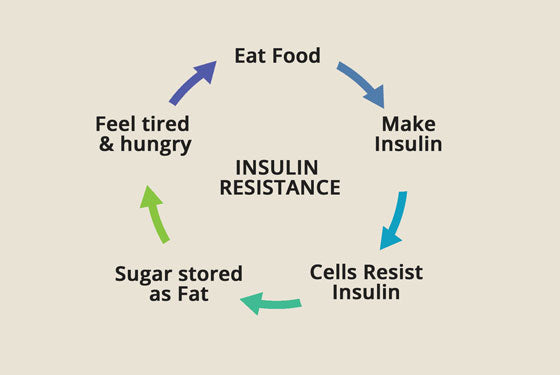 Insulin Resistance