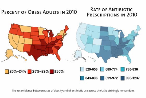 Obesity rates in USA, Antibiotic use