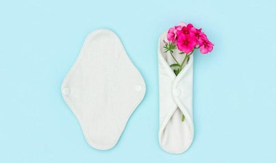 reusable sanitary pads