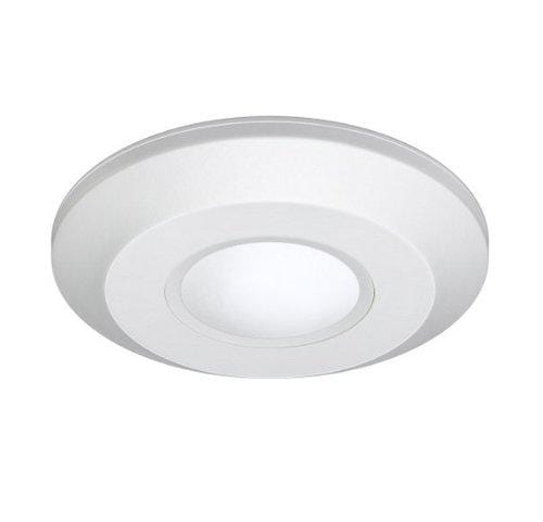 ceiling mounted security light