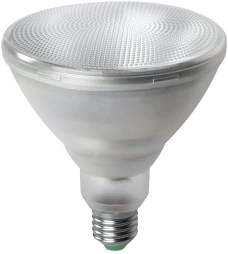 par38 globe led