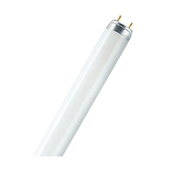 lumens of t8 fluorescent tubes