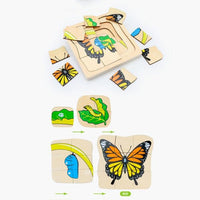 Download Goryeo Baby Wooden Butterfly Growth Cycle Layered Educational Puzzle Ikids