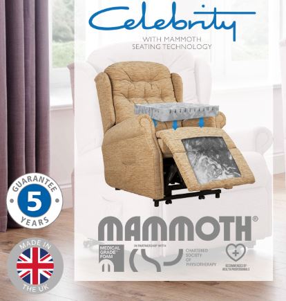 Celebrity Woburn with Mammoth Medical Grade Memory Foam Seat