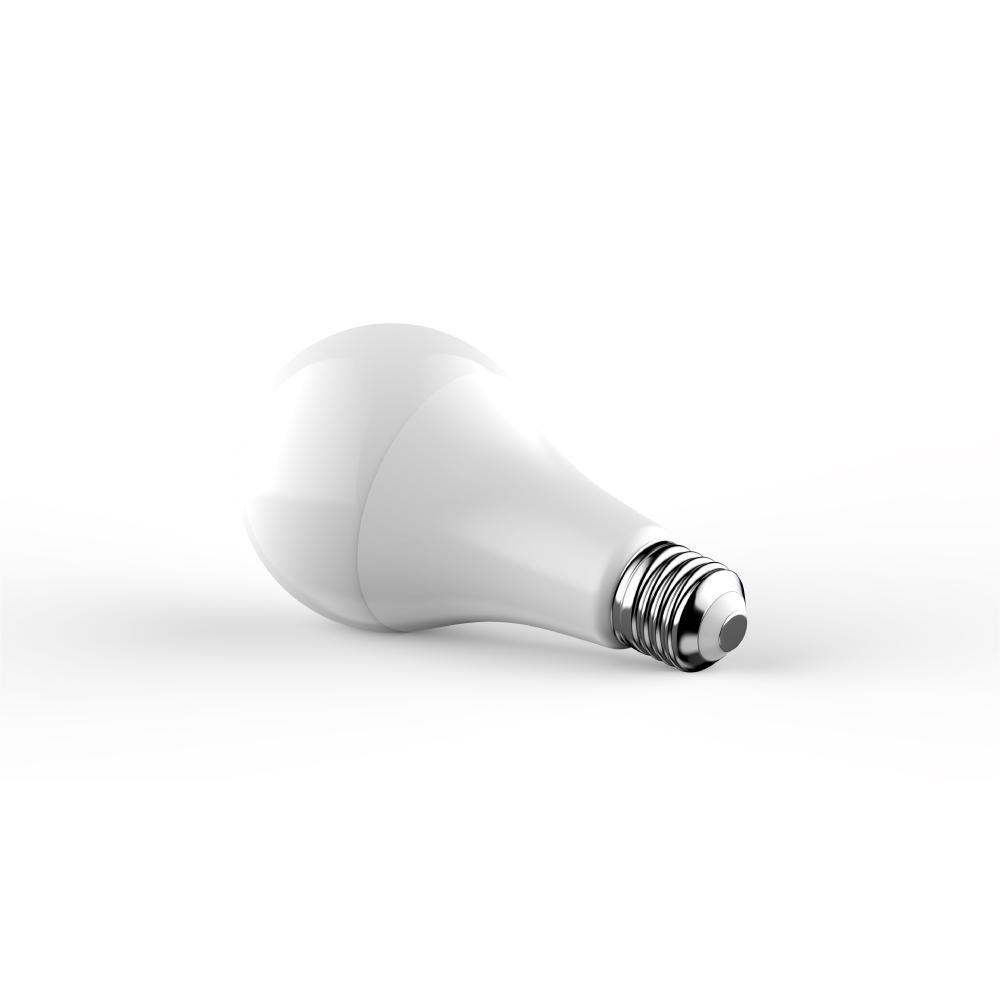 A21 LED Bulb