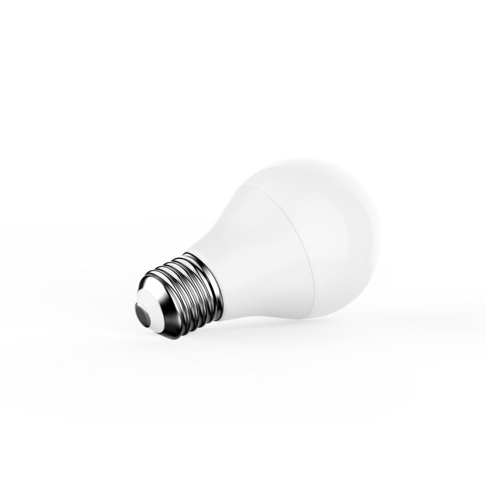 A19 LED Light Bulb