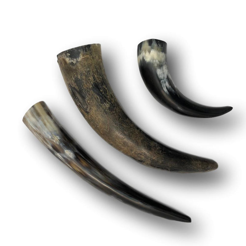 vurdere pille Snart Genuine Water Buffalo Horns - Natural or Polished | Leather Unlimited