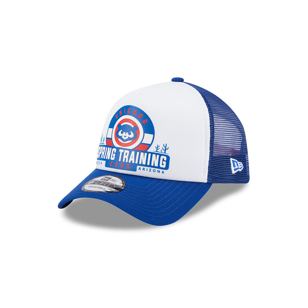 Men's New Era White/Royal Chicago Cubs Spring Training Bird 9FIFTY Snapback  Adjustable Hat