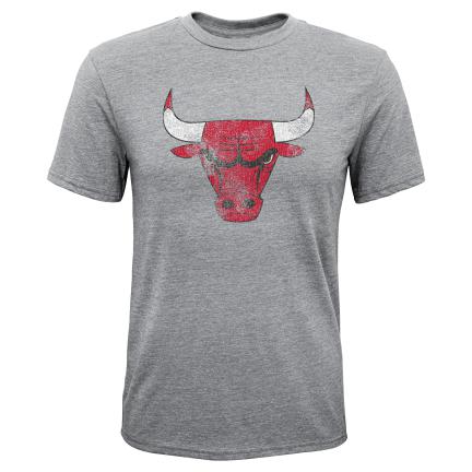 Chicago Bulls - Distressed Team Logo NBA T-Shirt