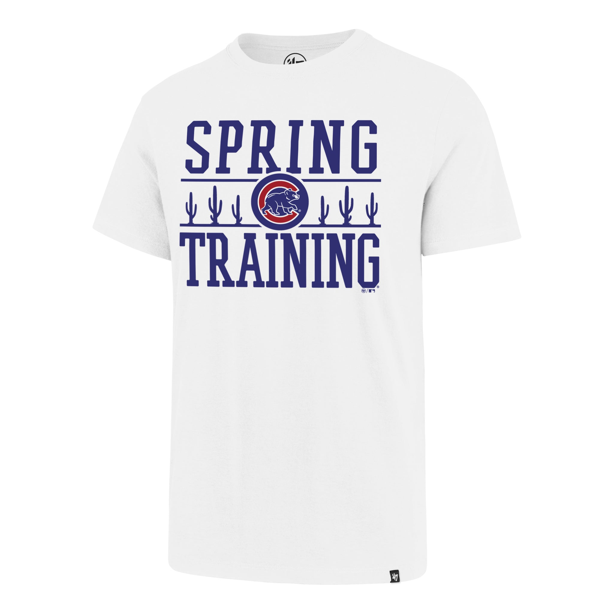 chicago cubs spring training jerseys