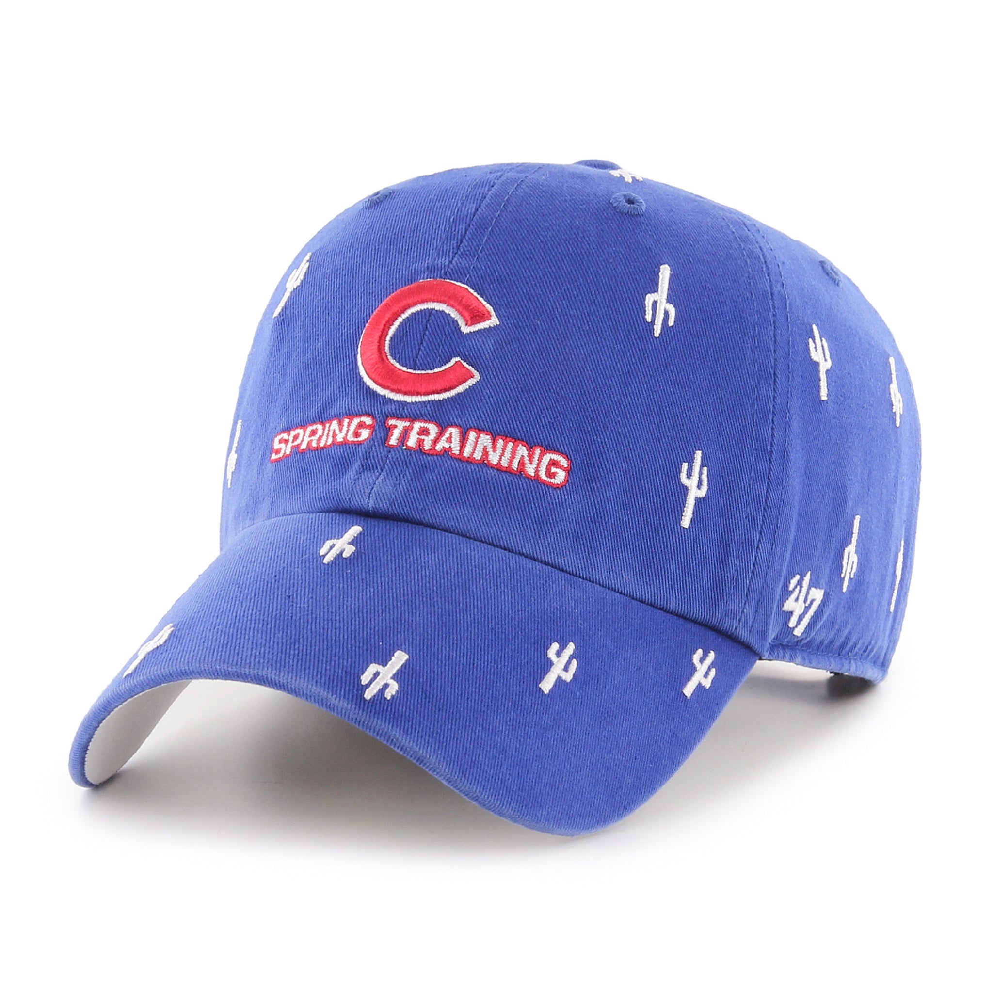 cubs spring training cap