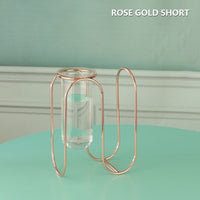 Thumbnail for Creative Golden Glass Vase