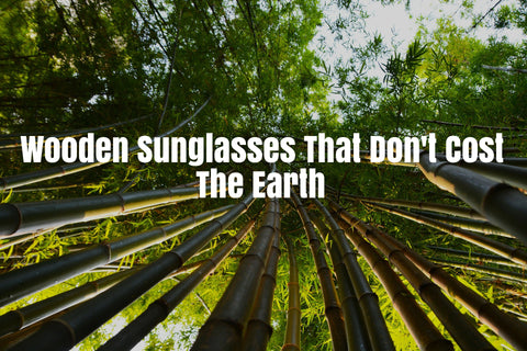 Bamboo forest - Bamboo Sunglasses