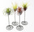 Pack of 4 Tabletop Standing Air Plant Holders Tillandsia Air Plant Stands