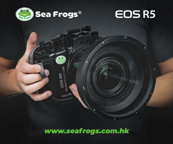 Sea Frogs Canon EOS R5 underwater case camera housing