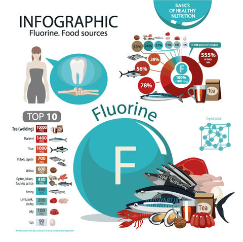 Infographic Fluorine food sources