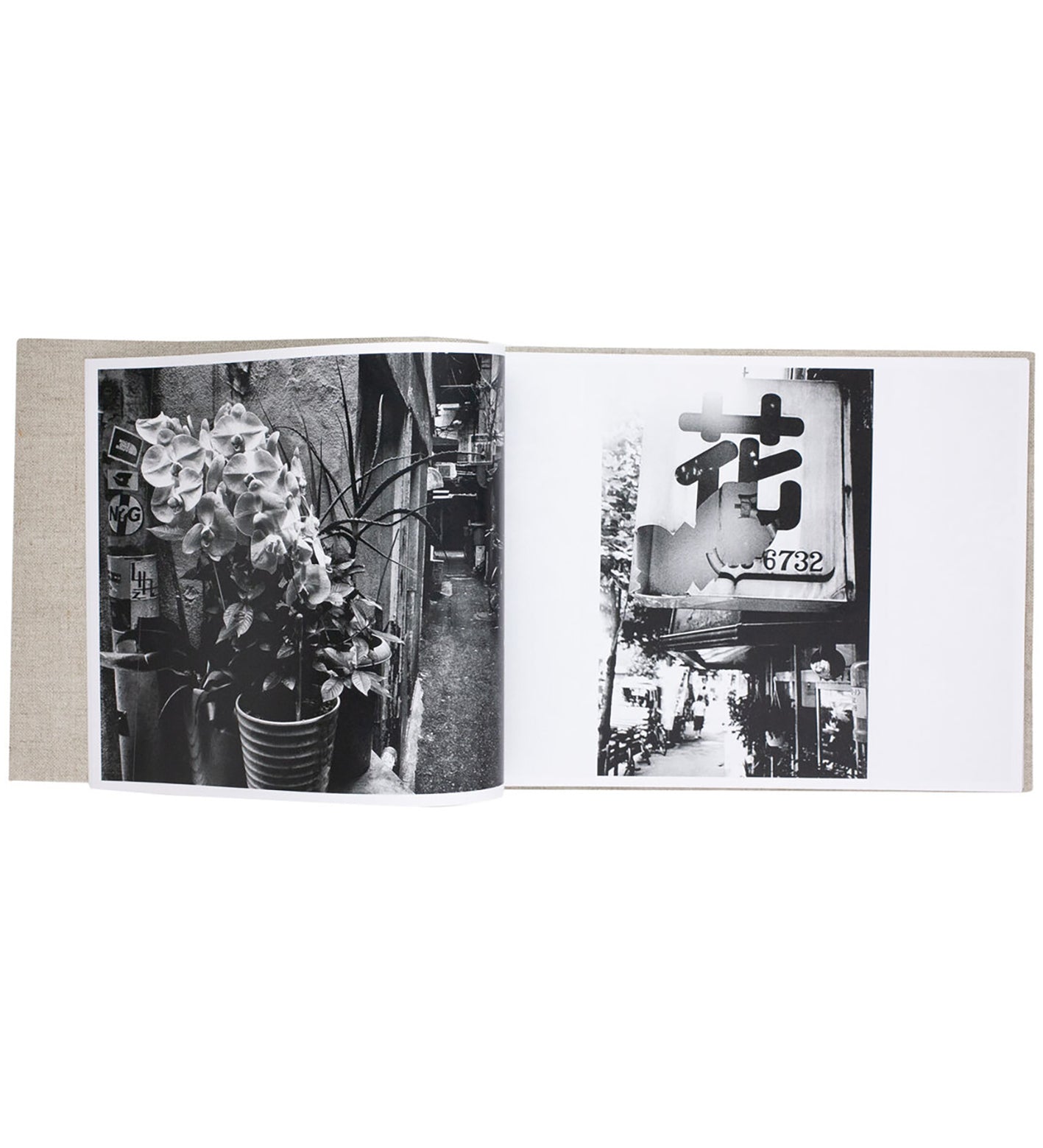 Daido Moriyama: Flowers (Signed) - Image 4